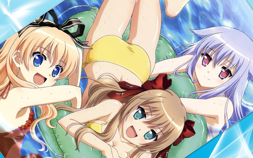 kiriya_nozomi mayoi_neko_overrun! serizawa_fumino tagme umenomori_chise