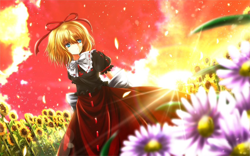 blonde_hair blue_eyes bow capelet flower flower_field hair_ribbon highres medicine_melancholy nekominase petals red_sky ribbon shirt short_hair short_sleeves skirt sky solo sunflower sunset touhou