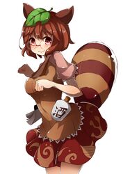  1girl animal_ears blush breasts brown_hair futatsuiwa_mamizou glasses kinakomoti large_breasts leaf leaf_on_head looking_at_viewer raccoon_ears raccoon_tail red_eyes short_hair skirt smile solo tail touhou 