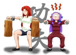  2girls hong_meiling multiple_girls patchouli_knowledge purple_hair redhead touhou track_suit 