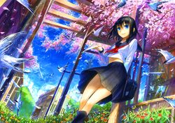  bird black_hair blue_eyes building cherry_blossoms dutch_angle flower fuumi_(radial_engine) navel original paper_airplane petals school_uniform serafuku skirt 