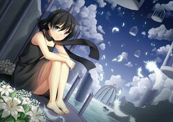  1girl barefoot black_hair blue_eyes dress feathers flower jenevan legs scarf short_hair sitting sky solo water 