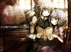 2girls bat_wings blue_hair book braid grey_eyes instrument izayoi_sakuya multiple_girls piano reading red_eyes remilia_scarlet short_hair silver_hair sunlight touhou wings yoshioka_yoshiko 