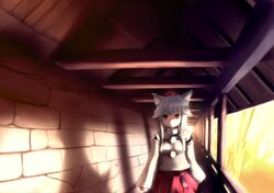  1girl animal_ears breasts chipika hat inubashiri_momiji solo tokin_hat touhou wolf_ears 