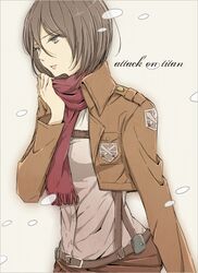  belt brown_eyes brown_hair jacket merino mikasa_ackerman scarf shingeki_no_kyojin short_hair 