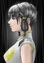  braid brown_eyes dead_or_alive dress hybrid_cat lei_fang profile rain 