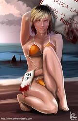  beach bikini blonde_hair blood heather_mason highres ivan_flores lake pyramid_head realistic shark sign silent_hill silent_hill_2 silent_hill_3 swimsuit towel water yellow_eyes 