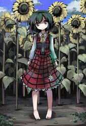  bad_feet barefoot cloud clouds flower gatau green_hair kazami_yuuka multicolored_eyes pigeon-toed pigeon_toes plaid plaid_skirt plaid_vest short_hair skirt skirt_set sky sunflower touhou 