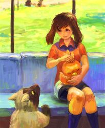  1girl bike_shorts closed_eyes haruka_(pokemon) headwear_removed petting pokemon pokemon_(game) pokemon_rse poochyena sitting torchic yuza 