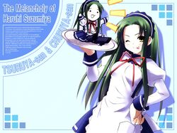   suzumiya_haruhi_no_yuuutsu tagme tsuruya  