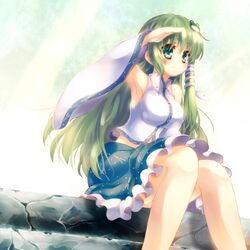  1girl bare_shoulders breasts detached_sleeves frog frog_hair_ornament gengetsu_chihiro green_eyes green_hair hair_ornament highres japanese_clothes kochiya_sanae large_breasts long_hair miko sitting smile snake_hair_ornament solo touhou 