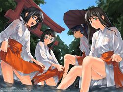  fomalhaut japanese_clothes miko oriental_umbrella tanaka_shoutarou torii umbrella wet_clothes 