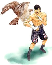  bird boots hajime_no_ippo hawk highres male muscle shinobibe_himika shorts takamura_mamoru 