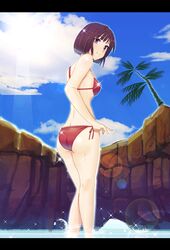  1girl ass bikini black_eyes black_hair from_behind iwanishi looking_back original palm_tree rock short_hair sky swimsuit tree 