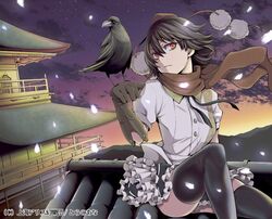 1girl bird bird_on_hand black_hair black_legwear crow east_asian_architecture face gauntlets gloves hat pagoda red_eyes rooftop scarf serious shameimaru_aya short_hair sitting skirt sky solo thighhighs tokin_hat touhou uousa zettai_ryouiki 