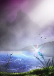  bird lake scenery tagme 