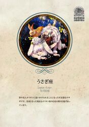  animal_ears bunny bunny_ears bunny_tail original rabbit rabbit_ears radu solo tail white_hair 