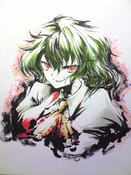  brush_(medium) colored_pencil_(medium) frederiq green_hair kazami_yuuka marker_(medium) portrait puffy_sleeves red_eyes shikishi slit_pupils smirk touhou traditional_media tsubameyado vest 