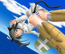  cat_ears francesca_lucchini mushoku_no_hourousha panties strike_witches striker_unit striker_units striped striped_panties tail underwear waving 