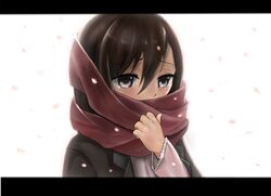  1girl black_eyes black_hair jacket mikasa_ackerman scarf shingeki_no_kyojin short_hair solo 