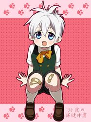  bandaid blue_eyes buttons fang grey_hair kneehighs loup-garou macaron_(30-sai_no_hoken_taiiku) male ribbon shirt shorts sitting smile vest 