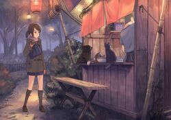  bag bench bowl brown_eyes brown_hair bush cat efmoe fence food_stand gloves kneehighs lamppost lantern lightbulb night original paper_lantern park scarf scenery short_hair short_twintails skirt twintails winter_clothes yatai 