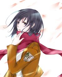  black_eyes black_hair jacket koronosuke mikasa_ackerman scarf shingeki_no_kyojin short_hair 