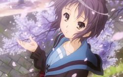  cherry_blossoms nagato_yuki petals sakura seifuku suzumiya_haruhi_no_yuutsu suzumiya_haruhi_no_yuuutsu 