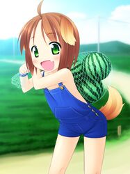  animal_ears brown_hair dog_ears fang food fruit green_eyes inuarashi meiko_(inuarashi) naked_overalls net original overalls short_hair solo tail watermelon 