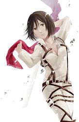  belt breasts brown_eyes brown_hair cleavage highres mikasa_ackerman scarf shingeki_no_kyojin short_hair thigh_strap usako 