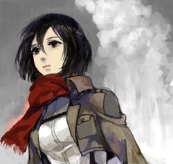  1girl black_eyes black_hair bust jacket long_sleeves mikasa_ackerman scarf shingeki_no_kyojin short_hair solo 