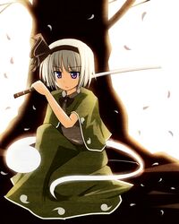  blue_eyes cherry_blossoms konpaku_youmu konpaku_youmu_(ghost) mashayuki petals silver_hair solo touhou 