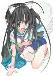 1girl animal_ears black_eyes black_hair braid dog_ears long_hair original school_swimsuit school_uniform serafuku swimsuit tail thighhighs twin_braids twintails undressing watarai-bokujou 