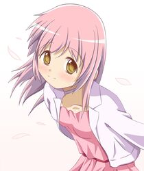  alternate_eye_color blush casual cherry_blossoms choker dress hair_down jacket kaname_madoka long_hair looking_at_viewer mahou_shoujo_madoka_magica ototsu_(nitta225) petals pink pink_background pink_dress pink_hair smile solo ultimate_madoka yellow_eyes 