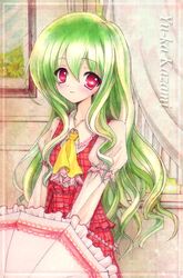  ascot blush character_name green_hair kazami_yuuka kazami_yuuka_(classic) long_hair pants plaid plaid_vest red_eyes smile solo tetrak touhou traditional_media umbrella vest youkai 