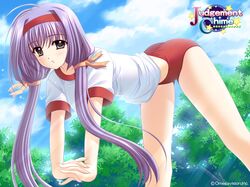  gym_uniform judgement_chime kannagi_sayuka navel nishimata_aoi wallpaper 