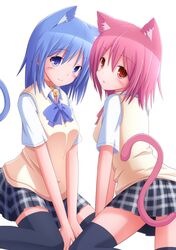  2girls animal_ears black_legwear blue_hair blush cat_ears cat_tail highres kuwachii looking_at_viewer multiple_girls open_mouth original redhead school_uniform sitting skirt smile tail thigh-highs 