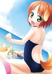  ball beach beachball blush brown_hair cloud clouds dog dog_ears dog_tail dutch_angle fang green_eyes inuarashi meiko_(inuarashi) ocean original school_swimsuit short_hair shovel sky smile swimsuit tail worktool 