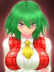  ascot blush breasts crossed_arms green_hair highres kazami_yuuka large_breasts plaid plaid_vest red_eyes short_hair smirk solo touhou watarui youkai 