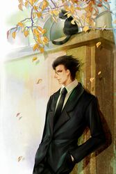  ahoge black_hair cat fate/zero fate_(series) formal hand_in_pocket highres lancer_(fate/zero) male mokuha solo suit yellow_eyes 