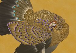  avian beak bird feathers feral hybrid looking_back nablange no_humans original peacock solo tail turkey 