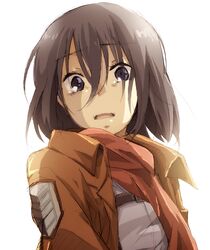  black_eyes black_hair jacket kaba mikasa_ackerman scarf shingeki_no_kyojin short_hair 
