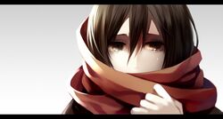  black_eyes black_hair mikasa_ackerman nishina_(alive001) scarf shingeki_no_kyojin tears 