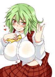  1girl aoi_manabu blush green_hair kazami_yuuka necktie red_eyes short_hair solo touhou 