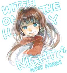  aozaki_aoko blue_eyes brown_hair bust hair_intakes long_hair mahou_tsukai_no_yoru scarf solo uni_(pixiv3369507) 