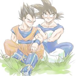  alternate_costume black_eyes black_hair bodysuit boots cosplay costume_switch dragon_ball dragon_ball_z dragonball_z gloves grass lowres multiple_boys muscle sitting smile son_gokuu spiked_hair spiky_hair vegeta 
