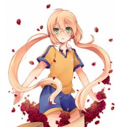  flower fusion glasses green_eyes inazuma_eleven_(series) inazuma_eleven_go inazuma_eleven_go_chrono_stone jeanne_d'arc_(inazuma_eleven) jeanne_d'arc_(inazuma_eleven) kirino_ranmaru lightning_bolt petals raimon rose sanada_nako shorts soccer_uniform solo twintails 