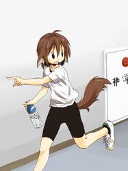  animal_ears brown_hair open_mouth ray-kudryavka short_hair solo tail yudepii 