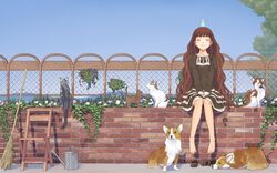  barefoot bird broom brown_hair cat closed_eyes dog dress eyes_closed flower long_hair nama_(nama1109) original parakeet sitting sky smile tree very_long_hair watercan watering_can welsh_corgi 