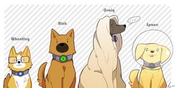    ... 2012 adventure_core animalization atlas_kei character_name dated dog fact_core glasses green_eyes kei-chan looking_at_viewer monocle no_humans o_o portal portal_2 purple_eyes signature space_core space_helmet striped tail tongue tongue_out violet_eyes wheatley 